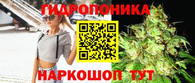 меф Краснознаменск