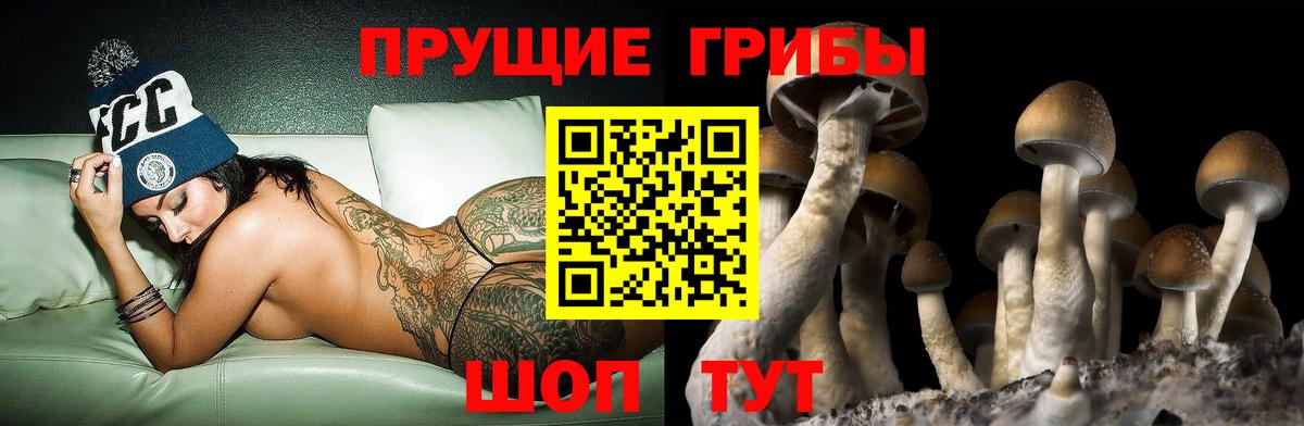 Керчь  Псилоцибиновые грибы мицелий  Вход с VPN 
